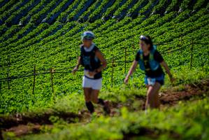 BIB: 
                            <button type="button" onclick="openModal(19160933)" class="btn btn-primary btn-sm float-right btn-popup" data-toggle="modal" data-target=".modal-high-quality">
                        <i class="fas fa-shopping-cart"></i> Add to Cart
                    </button>
                                            <button type="button" onclick="isThisMe(19160933, true)" class="btn btn-success btn-sm float-right btn-popup btn-isme hidden" data-toggle="tooltip" data-placement="bottom" title="นี่คือรูปของคุณใช่ไหม คลิกที่นี่เพื่อเอาเข้าอัลบั้ม">
                        <i class="fas fa-plus"></i> Add to album
                    </button>
                    <button type="button" onclick="isThisMe(19160933, false)" class="btn btn-warning btn-sm float-right btn-popup btn-isnotme hidden">
                        <i class="fas fa-ban"></i> Remove from album
                    </button>